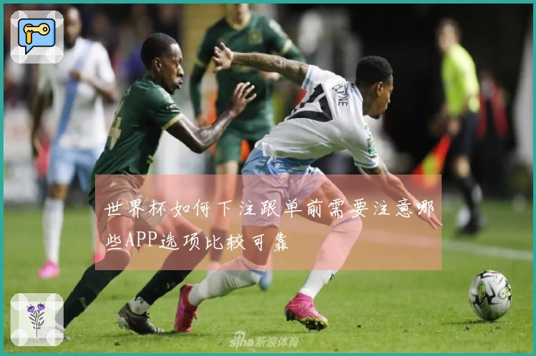 世界杯如何下注跟单前需要注意哪些APP选项比较可靠