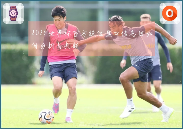 2026世界杯官方投注盘口信息该如何分析与判断