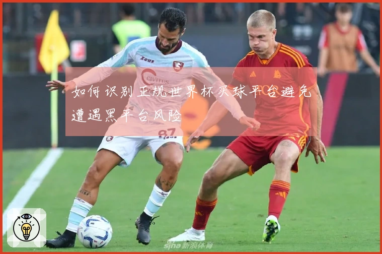 如何识别正规世界杯买球平台避免遭遇黑平台风险