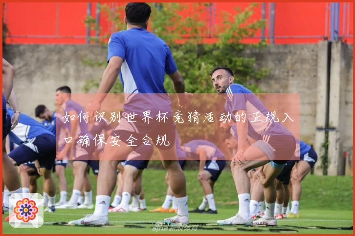 如何识别世界杯竞猜活动的正规入口确保安全合规